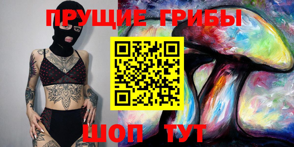 купить наркотики сайты  Вход с VPN  Губаха  Псилоцибиновые грибы Cubensis 