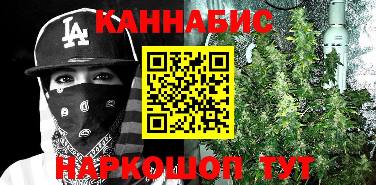 Бошки Шишки SATIVA & INDICA Губаха